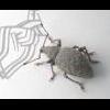 audioweevil